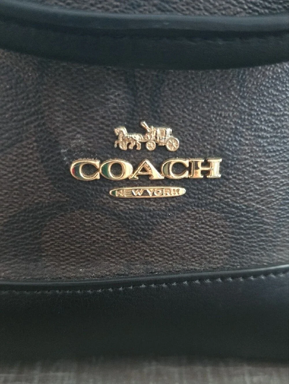 Coach classic dome
